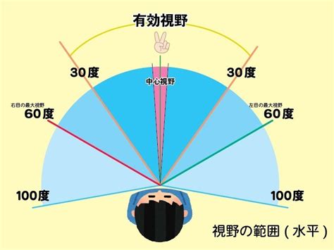 人類視野角度